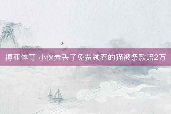 博亚体育 小伙弄丢了免费领养的猫被条款赔2万