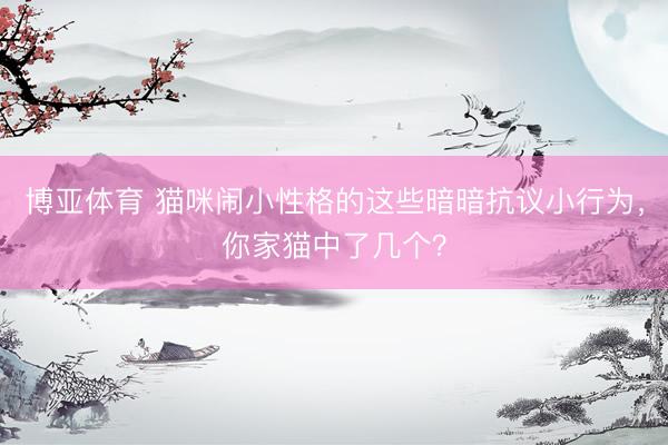 博亚体育 猫咪闹小性格的这些暗暗抗议小行为，你家猫中了几个？