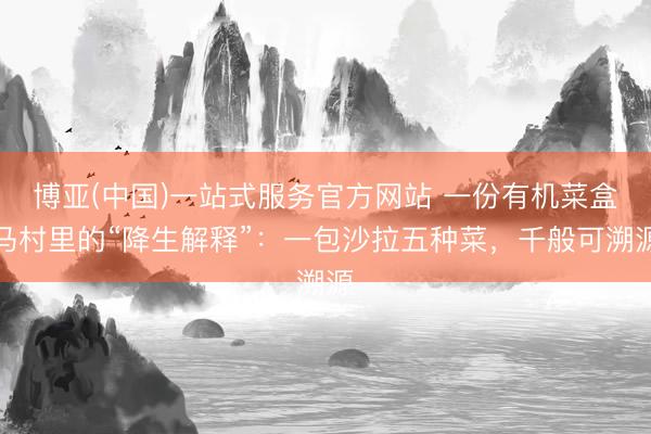 博亚(中国)一站式服务官方网站 一份有机菜盒马村里的“降生解释”：一包沙拉五种菜，千般可溯源