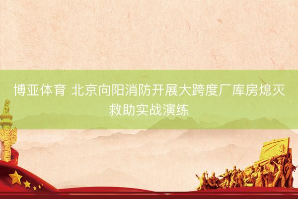 博亚体育 北京向阳消防开展大跨度厂库房熄灭救助实战演练