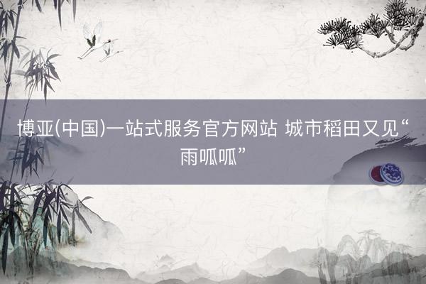 博亚(中国)一站式服务官方网站 城市稻田又见“雨呱呱”