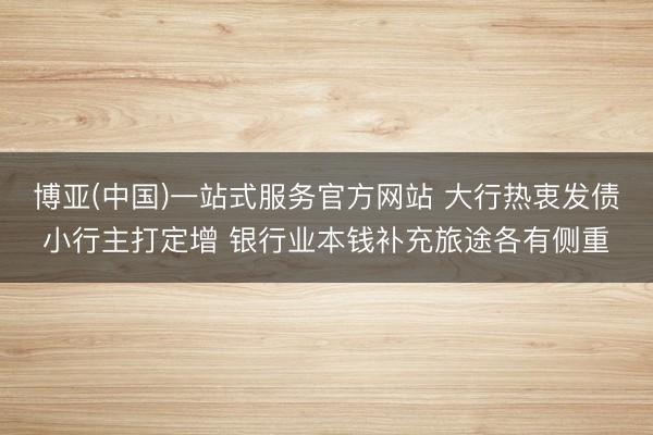 博亚(中国)一站式服务官方网站 大行热衷发债小行主打定增 银行业本钱补充旅途各有侧重