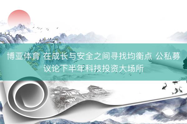 博亚体育 在成长与安全之间寻找均衡点 公私募议论下半年科技投资大场所